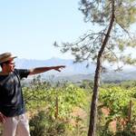 CELLER CREDO | Sant Sadurní d’Anoia, Penedés
