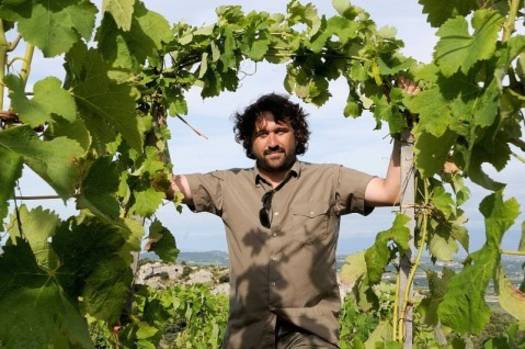 Domaine du coulet | Cornas, Cornas