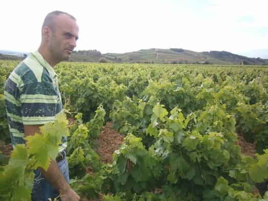 Mas asturias | Villafranca del Bierzo, Bierzo