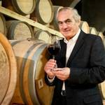 PAGO DE LOS CAPELLANES | Pedrosa de Duero, Ribera del Duero