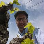 BORIES JEFFERIES | Caux, Languedoc