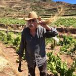 SERRAGGHIA | Pantelleria, Sicily