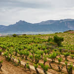 GÓMEZ CRUZADO | Haro, Rioja Alta