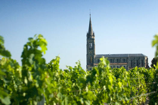 Audy | Pomerol / Saint Émilion, Burdeos
