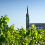 AUDY | Pomerol / Saint Émilion, Burdeos