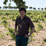 TORREMILANOS | Aranda de Duero, Ribera del Duero