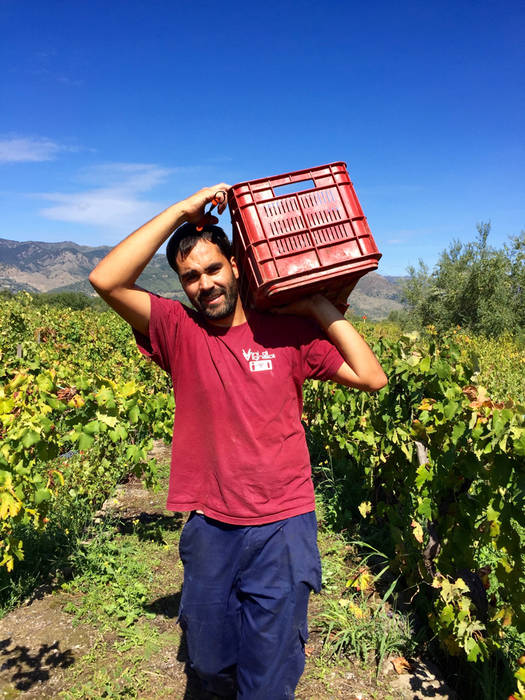 Eduardo torres acosta | Randazzo, Catania