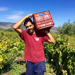 EDUARDO TORRES ACOSTA | Randazzo, Etna