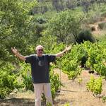 TROÇ D'EN ROS | Capmany, Empordà