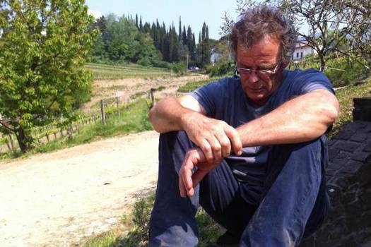 Dario princic | Gorizia, Collio