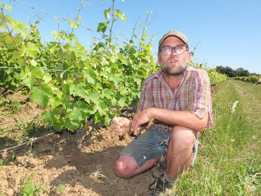 THOMAS PUÉCHAVY | Nazelles-Négron, Vouvray