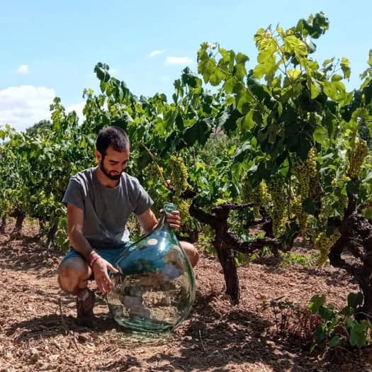 LA FITA | Penedés, Cataluña