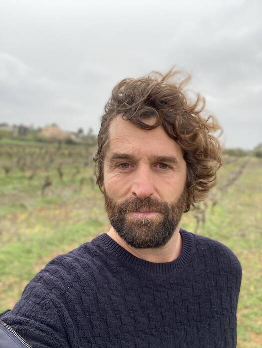 PANDURO VINOS | Varias zonas, Varias zonas