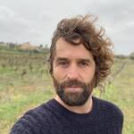 PANDURO VINOS | Varias zonas, Varias zonas