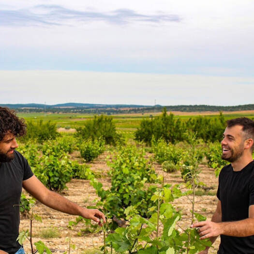 BODEGAS CERRÓN | Fuente-Álamo, Jumilla