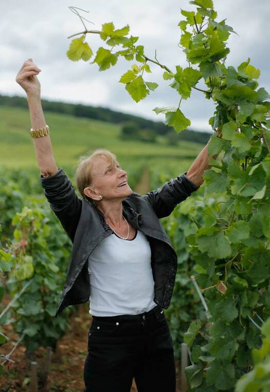DOMAINE LEROY | Auxey-Duresses, Borgoña