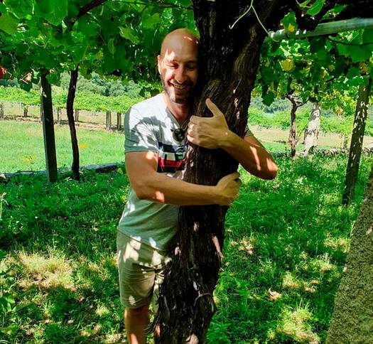ADEGA PEDRO MÉNDEZ | Padriñan – Sanxenxo, Rías Baixas
