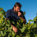 JÉRÔME BRETAUDEAU | Gétigné, Muscadet