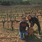 SUCCÉS VINÍCOLA | Montblanc, Conca de Barberà