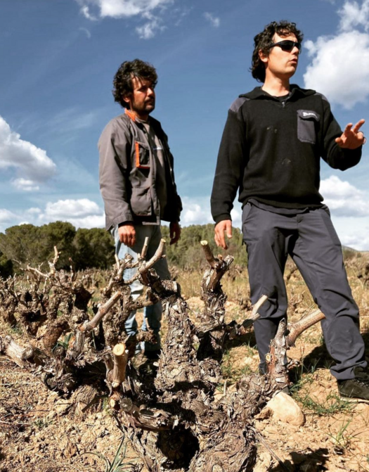 La Rural Moscatel d'Alexandria | LA RURAL | Santes Creus, Alt Camp