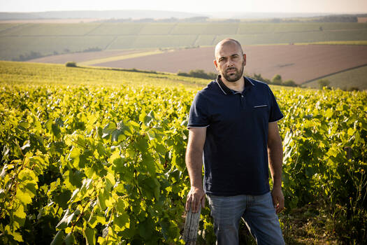 THOMAS TIXIER | Courgis, Chablis