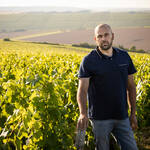 THOMAS TIXIER | Courgis, Chablis