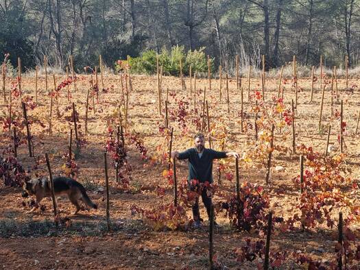 RAMON JANÉ VITICULTOR | Avinyonet del Penedès, Penedés