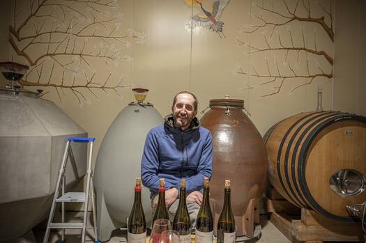 ANTOINE LIENHARDT | Comblanchien, Côte de Nuits