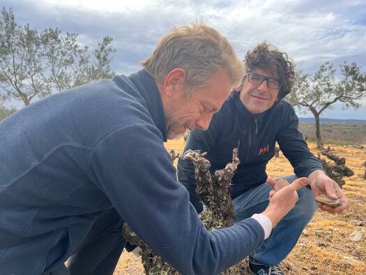 TIERRA PROMETIDA | Formariz, Arribes