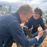 TIERRA PROMETIDA | Formariz, Arribes