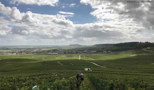 LARMANDIER - BERNIER | Cuvée 3000