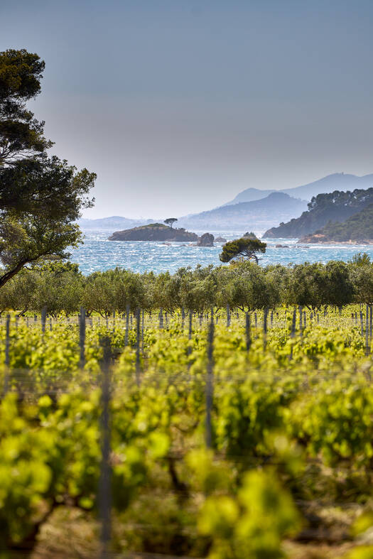 CHÂTEAU MALHERBE | Cuvée 3000