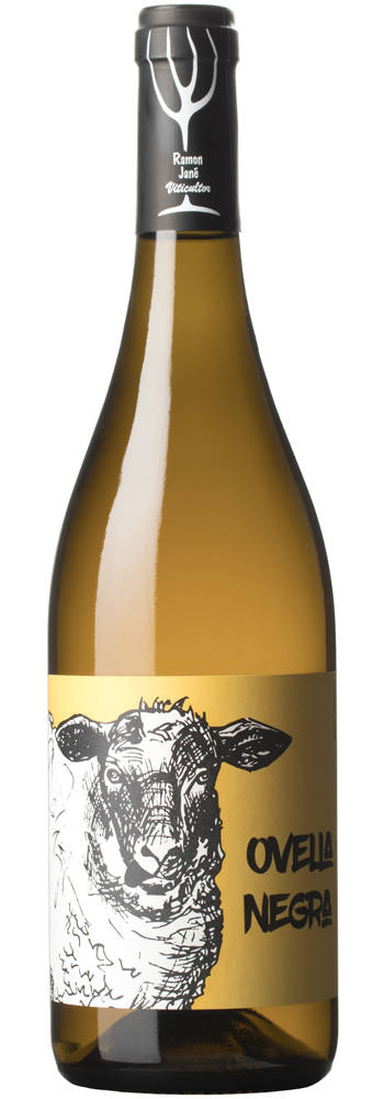 Mas Candí Ovella Negra | Mas candí | Avinyonet del Penedès, Penedés
