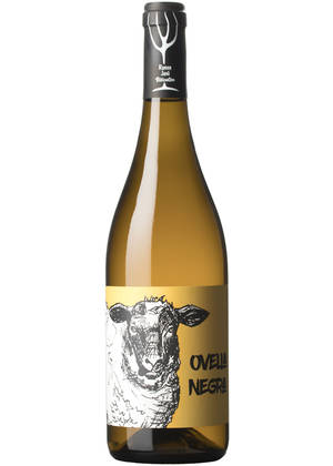 Ramon Jané Ovella Negra | RAMON JANÉ VITICULTOR | Avinyonet del Penedès, Penedés