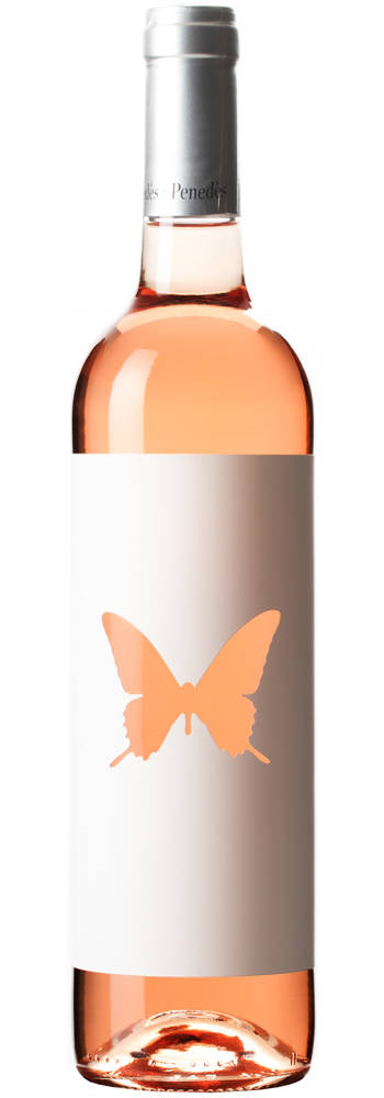 Cau de Papallones - D.O. Penedés | Wine side story | Avinyonet del Penedès, Varias zonas