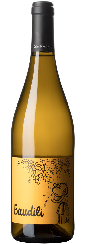 Mas Candí Baudili | Mas candí | Avinyonet del Penedès, Penedés