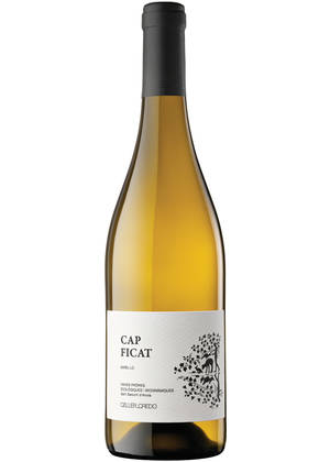 Celler Credo Capficat | CELLER CREDO | Sant Sadurní d’Anoia, Penedés