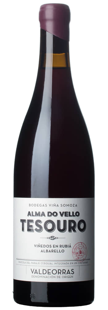Viña Somoza O Tesouro | Viña somoza, bodegas y viñedos | Rubiá, Valdeorras