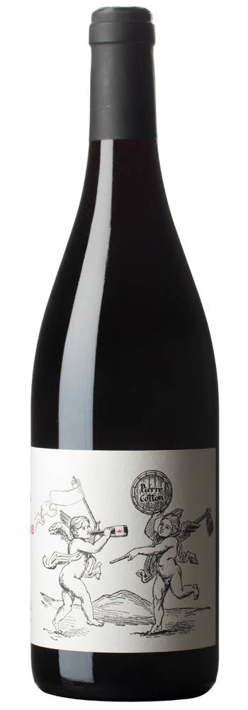Pierre Cotton Beaujolais | Pierre cotton | Odenas, Côte-de-Brouilly
