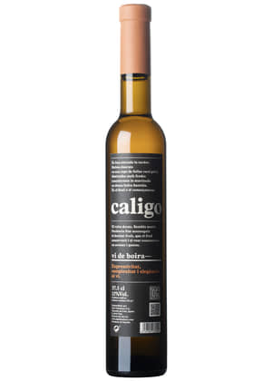 DG Caligo Vi de Boira | DG VITICULTORS | Pontons, Penedés