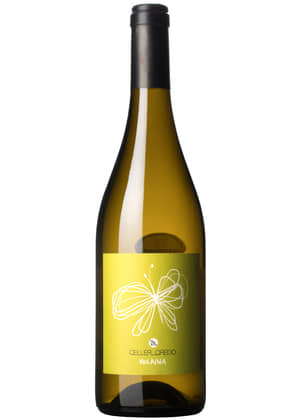 Celler Credo Volaina | CELLER CREDO | Sant Sadurní d’Anoia, Penedés