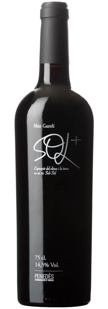 Mas Candí Sol+Sòl | Mas candí | Avinyonet del Penedès, Penedés