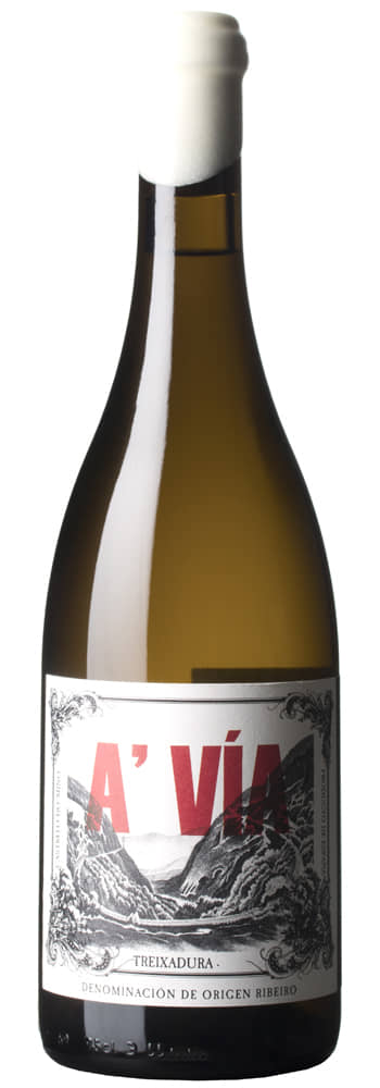 O Morto A Via Treixadura | O morto wines | Ribadavia, Ribeiro
