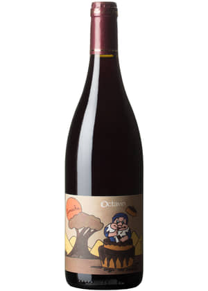 L'Octavin Ganache | L'OCTAVIN | Saint-Pierre-de-Vassols, Ventoux