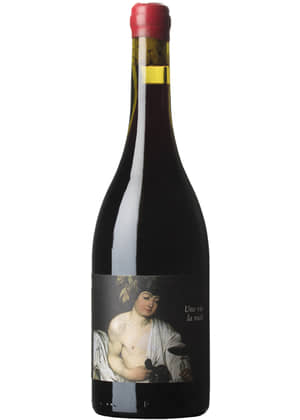 Clos du Rouge Gorge Une Vie La Nuit | CLOS DU ROUGE GORGE | Latour-de-France, Rosellón