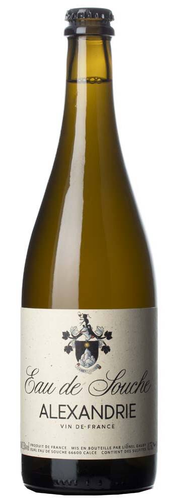 Lionel Gauby Alexandrie | EAU DE SOUCHE | Calce, Rosellón