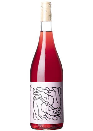 Succés Vinícola La Trompa rojo | SUCCÉS VINÍCOLA | Barberà de la Conca, Conca de Barberà