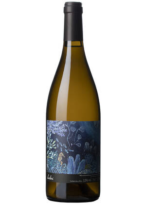 Mai & Kenji Hodgson Luchini blanco | MAI & KENJI HODGSON | Bellevigne-en-Layon, Anjou-Saumur