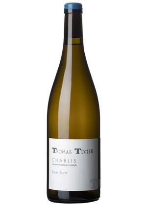 Thomas Tixier Auxillium ‘24 | THOMAS TIXIER | Courgis, Chablis