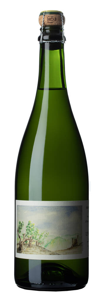 Simon Batardière Plein Nord Bulles | SIMON BATARDIÈRE | Bellevigne-en-Layon, Anjou-Saumur